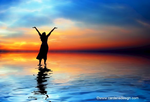 photo credit: cardensdesign.com